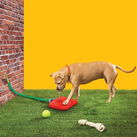 Поилка Для Собаки с Педалью | Arabida