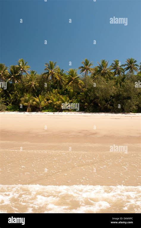 beach at Port Douglas, Far North Queensland, Australia Stock Photo - Alamy