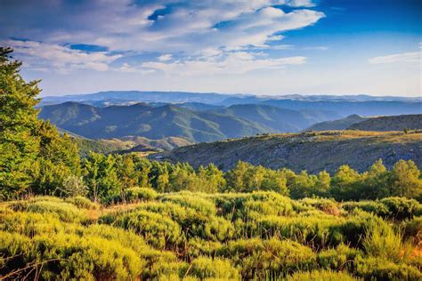 Les Cévennes Un écrin De Nature Dexception En Occitanie Grizette