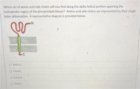 Solved Which set of amino acid side chains will you find | Chegg.com