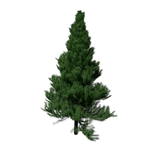 3d Pine Tree Model