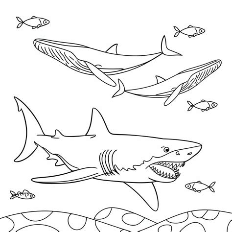 Megalodon Desenho Para Colorir - 9