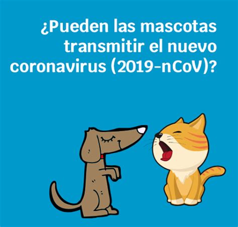 Pueden Las Mascotas Transmitir El Coronavirus Alfa Veterinaria