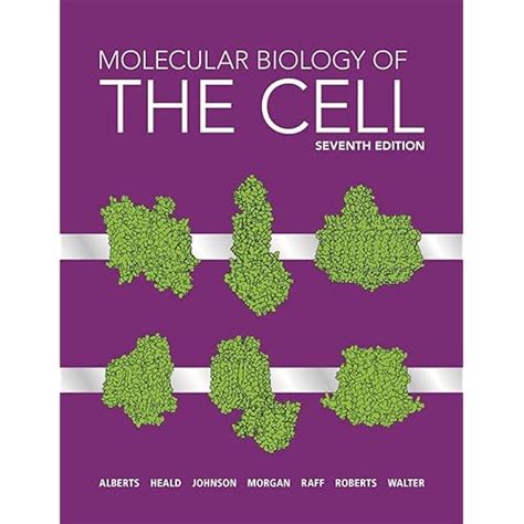 Snapklik.com : Molecular Biology Of The Cell