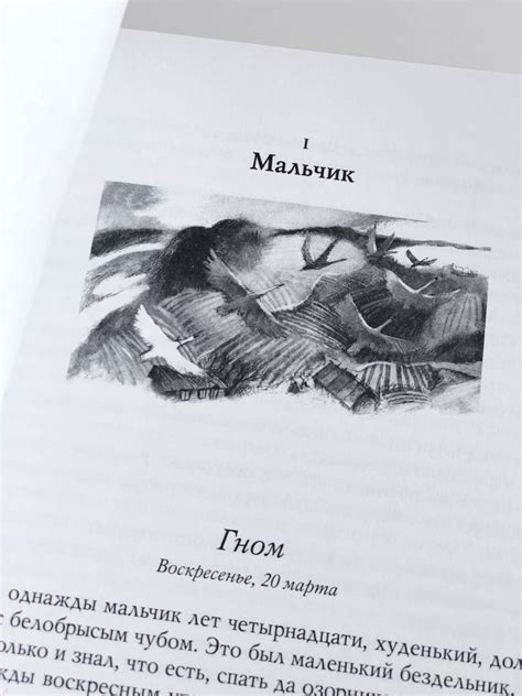 Книга: Удивительное путешествие Нильса Хольгерссона с дикими гусями по ...