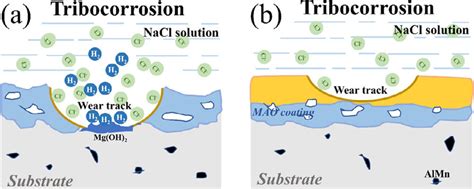 Schematic Draws Of The Suggested Tribocorrosion Under N Load