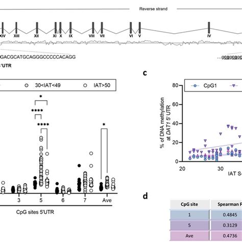 A Schematic Representation Of The Human OXTR Gene Boxes Represent