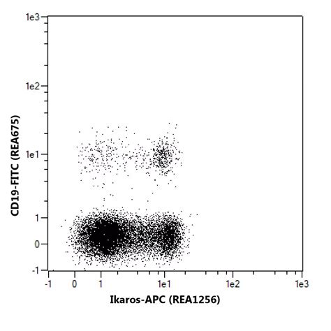 Ikaros Antibody Anti Human Reafinity Miltenyi Biotec India