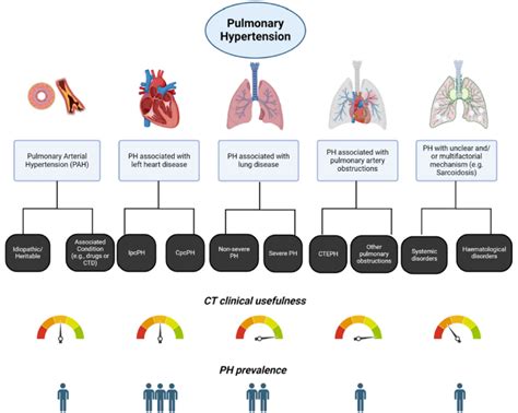 Clinical Pulmonary Hypertension Ph Classification According To The