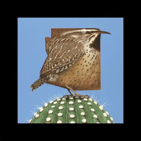 Arizona Cactus Wren — Giclee42