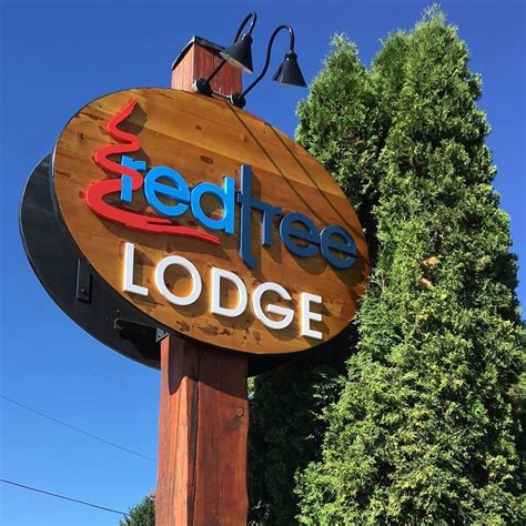 Fernie Weather-BC Canada Hotel | Red Tree Lodge