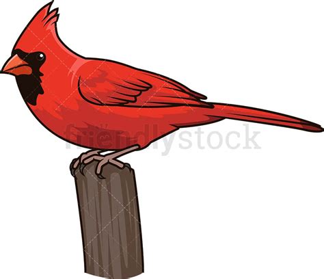 Northern Cardinal Cartoon Clipart Vector - FriendlyStock