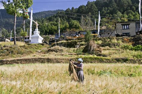 Trek Vall Es Et Lacs Sacr S Du Langtang Trekmag