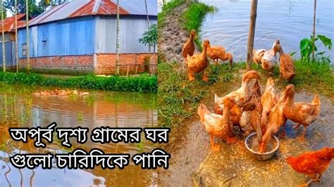 chot vai badite hanns paln kre onekta lav zen bangladesh village video