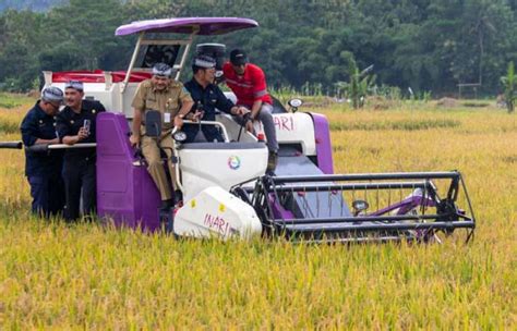 Mentan SYL Kawal Panen Raya Padi Di Jateng Produktivitas Hingga 7 Ton