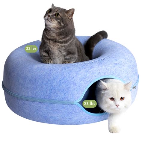 Amazon CATTASAURUS Peekaboo Cat Cave For Multiple Large Cats Up