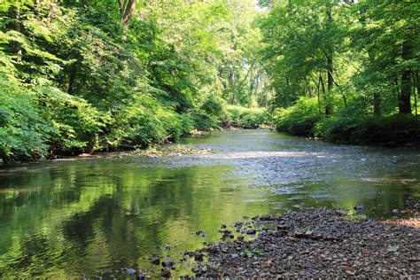 Whippany River By The Patriots Path Dave Aragona Flickr