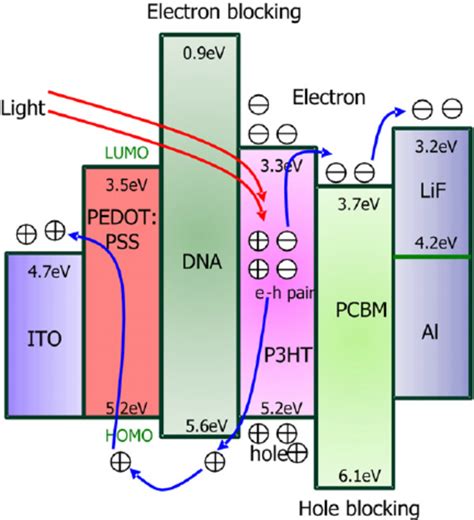 The Energy Level Diagram Showing The Homo And Lumo Energies Of Download Scientific Diagram