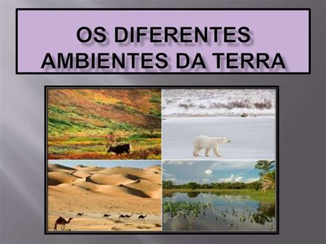 Compreende Todos Os Ambientes Da Terra Habitados Pelos Seres Vivos - Sexto ano cap 6 os diferentes ambientes da terra