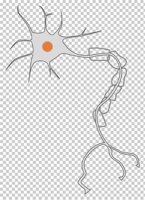 Brain Neuron Clip Art