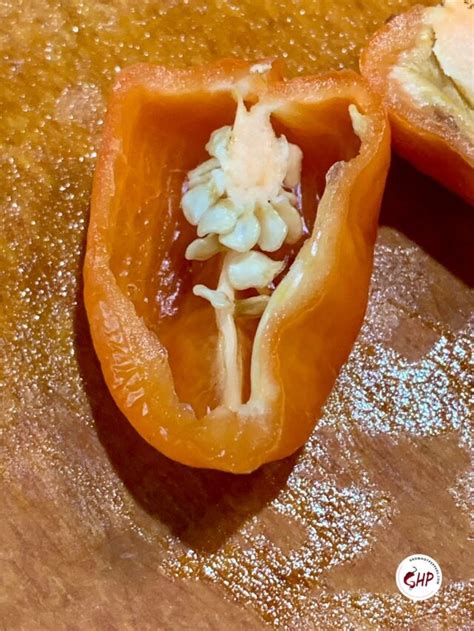 When To Pick Habaneros 3 Best Ways To Store Peppers Grow Hot Peppers