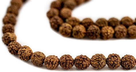 6mm Rudraksha Mala Beads 108 Authentic Nepali Nepal Ubuy