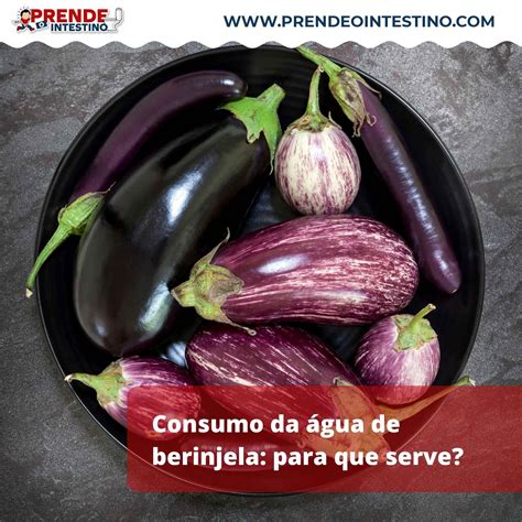 Agua De Berinjela E Bom Para Que - A berinjela prende o intestino ou solta? Entenda!