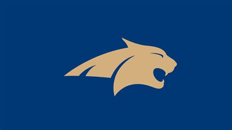 Watch Montana State Bobcats men's basketball online | YouTube TV (Free ...