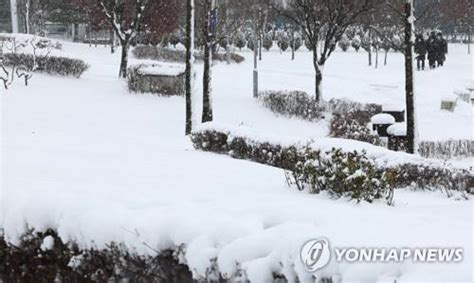 전북 한파·대설로 탐방로·여객선 통제순창 178㎝ 눈 쌓여 연합뉴스