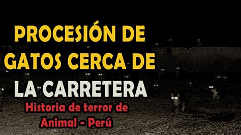 Procesión de gatos cerca de la carretera Historia de terror de Perú