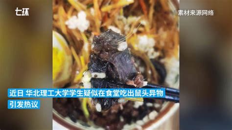 涉事食堂所属公司回应“高校食堂疑吃出鼠头”：全力配合调查 高校食堂 新浪新闻