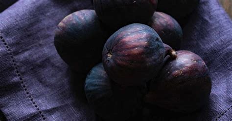 Инжир: польза и вред для организма человека - Со Вкусом