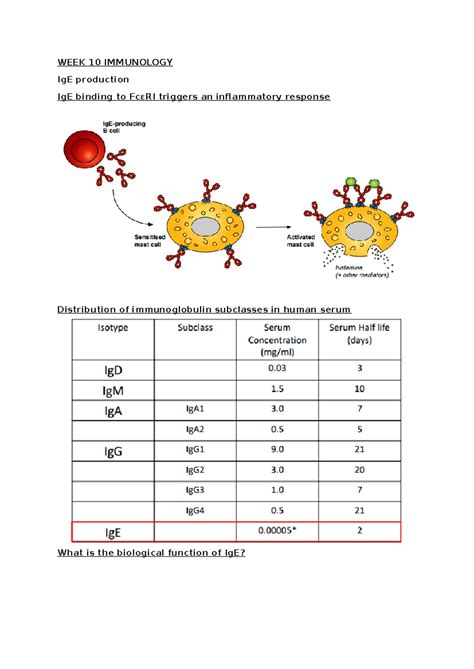WEEK 10 Immunology - Week 10 - WEEK 10 IMMUNOLOGY IgE production IgE