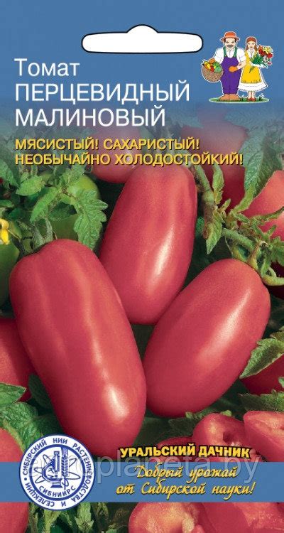 Томат ПЕРЦЕВИДНЫЙ МАЛИНОВЫЙ, 20 шт.: семена, семена овощных культур ...
