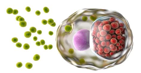 Understanding Blood In Semen Causes And When To Seek A Doctor