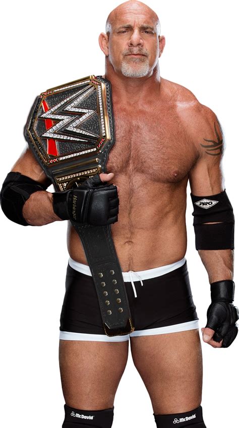 Goldberg WWE Champion 2017 by WWEMatchCard on DeviantArt