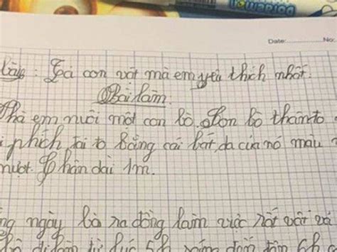 B I To N Ti U H C Khi N D N M Ng Chia Phe Tranh C I Gay G T P N N Gi N N Kh Tin Tin T C