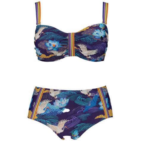 14 Cute Plus Size Bikini Swimsuits Hello Taee