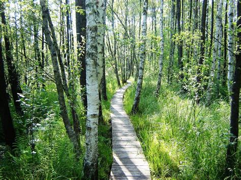 Poleski Park Narodowy Zaprasza Wakacjomaniak Pl