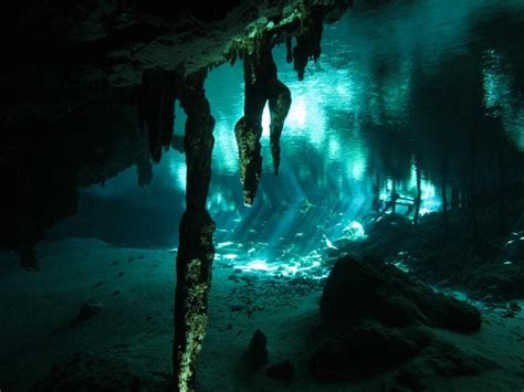 7 Amazing Underwater Caves to Leave You in Awe - Ocean Info