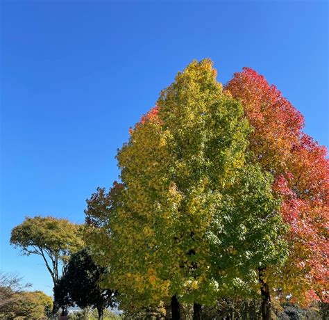 たまには 3 Angel 幸せを運ぶおやつとパンの教室