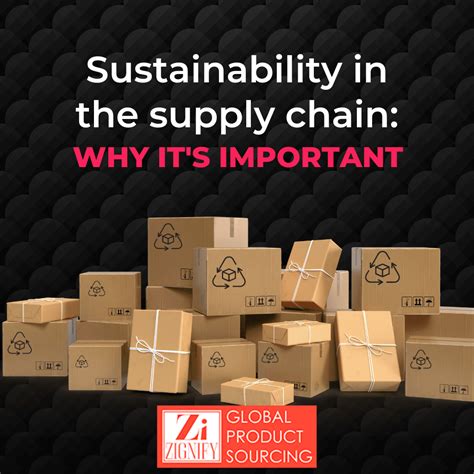 Why Sustainability In The Supply Chain Is Important?