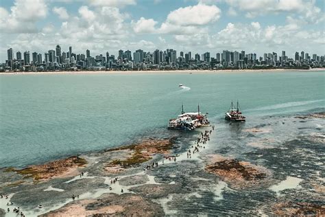 Veja Quais Foram Os Vereadores Eleitos E Maiores Bancadas Em João