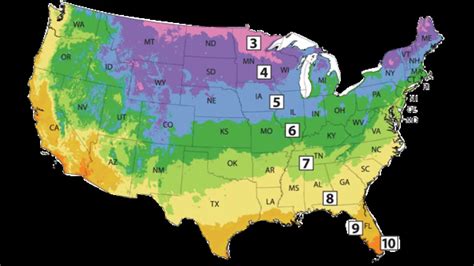 South Dakota Transplant Planting Zones And Soil Temps Youtube