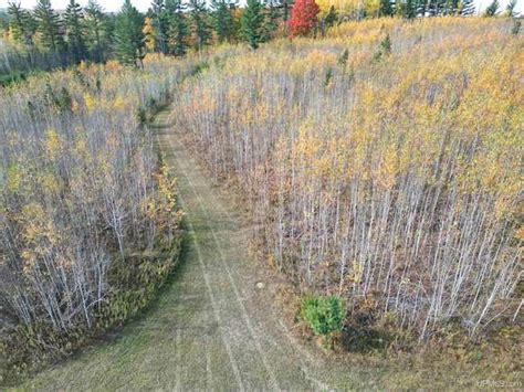 Michigan Off Grid Land For Sale 77 Properties Landsearch