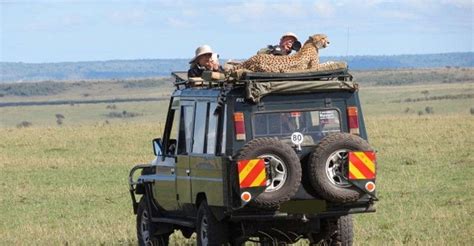 Dages Masai Mara Lodge Safari Med En X Land Cruiser Jeep Getyourguide