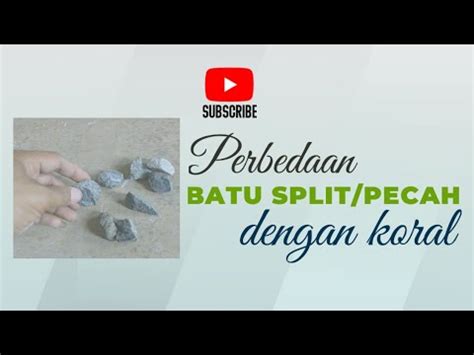 Perbedaan Batu Split Pecah Dengan Koral Youtube