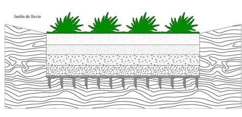 Diagrama De Jard N De Lluvia