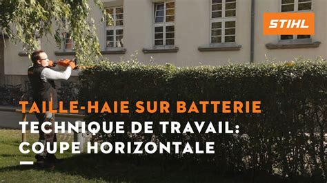 Technique De Travail Coupe Horizontale Taille Haies Sur Batterie