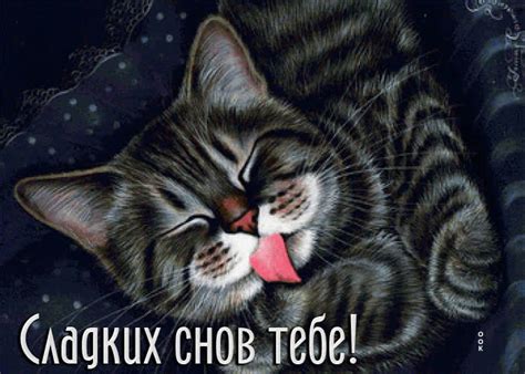 Забавная открытка с кошечкой Сладких снов тебе!- Скачать бесплатно на ...